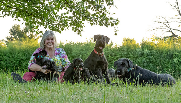 Riesenschnauzer von der Teck