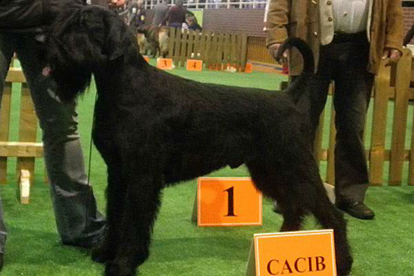 Voyager'sJackDaniels