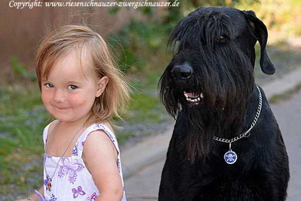 Voyager'sJackDaniels